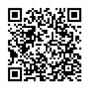 听了这样的声音皮球就拖着身体向着小太妹扑腾的方向追了过去二维码生成