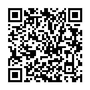 听了青松道长的话之后年轻人脸上也是闪过了一丝得二维码生成