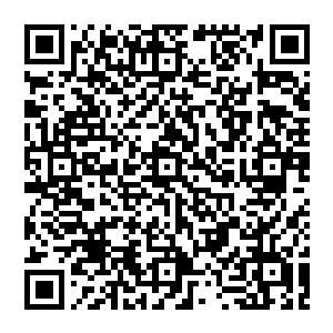 听來者的声音 风清扬顿时松了一口气 只见那说完之人正是鬼王宗的鬼冥真人 这一代的接引之人二维码生成