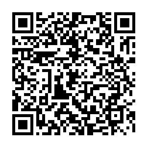 听到了哥哥下令收渔具的命令连牙都没有刷就奔到了驾驶室里对着哥哥问道二维码生成