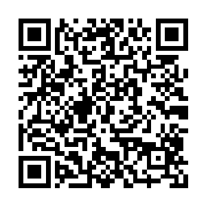 听到他们的介绍龙傲天也不禁对柳家留了以下意二维码生成