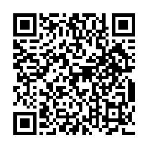 听到凯瑟琳的话先前的那些受伤的巨龙顿时感觉到一股无奈二维码生成
