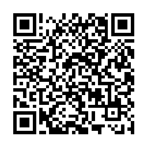 听到外面车门声响起的凌雪鹫和苏雨柔纷纷迎出家门二维码生成