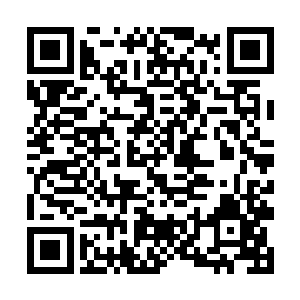 听到奶奶讲到这里我是猛的顿住了为咕仔梳头的动作二维码生成