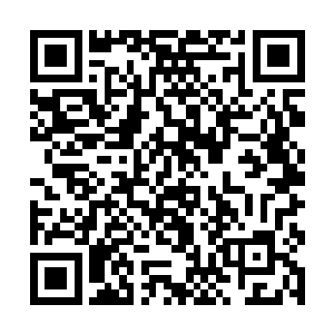 听到左娜似乎在暗示可以为雷林解决守护之神的问题二维码生成