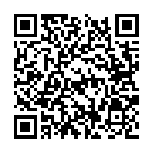 听到张潇晗在第一关内与两位合体期修士生死拼杀二维码生成