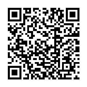 听到惜雨所说天元家主剑尘对这块火炎金是势在必得二维码生成