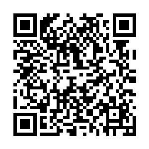 听到杨洛的话就像嘎嘎叫的鸭子突然被掐住了脖子二维码生成