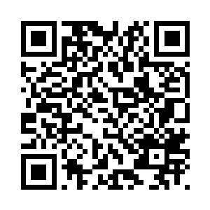 听到林思雨为芭比娃娃取得新名字二维码生成