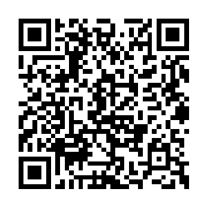 听到自己的电影与那什么张小宝的电影正面对决二维码生成