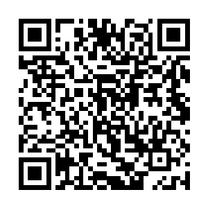 听到血海的话之后身后的血剑门的人自然是不敢不听二维码生成