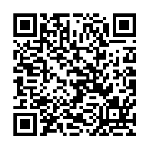 听到赵纯良的计划　林思伊张大着嘴巴　不敢置信的说道　二维码生成