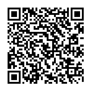听到这么有本事的一个廷尉上任不到三个月居然就被吞党和御史台中的一个二维码生成