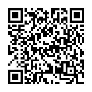 听到这种荒唐的事情之后白奇雪需要一点时间消化一下二维码生成