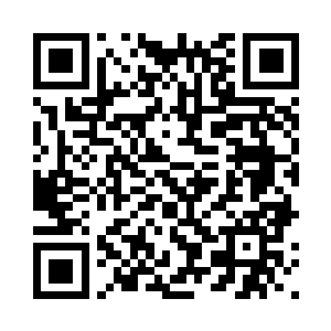 听到这话笑得差点从树上跌落下来二维码生成