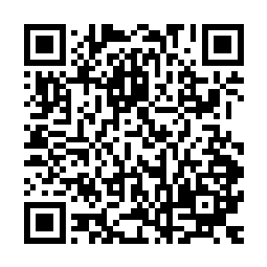 听到这边动静的那七名天空圣师也一个个飞速的向着这里赶来二维码生成