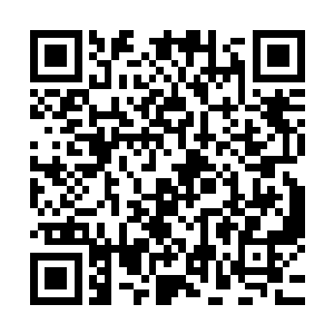 听到门口的响动这才抬起头来就看到门口的女子披着素色披风二维码生成