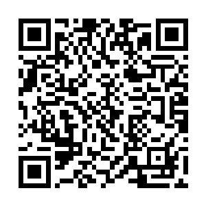 听到骨器店老板的叫停声我的心揪了起来微皱了额心二维码生成