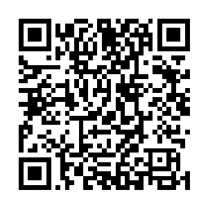 听到鹅肝这二字很容易便想到上次和芮阁一起吃饭的情景二维码生成