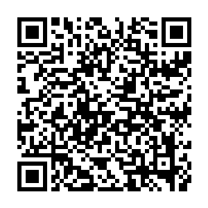 听到龙傲天的话之后孙雅儿也是一点没有隐瞒的将灵宝的信息告诉了龙傲天二维码生成