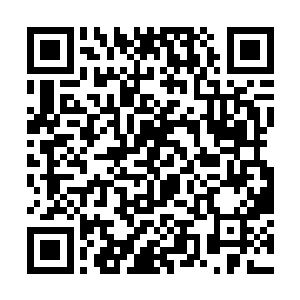 听到龙傲天的话之后血翼天使顿时眼睛变得一片血红二维码生成