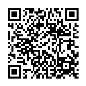 听力敏锐的赵长枪更是将夏柏树的话一字不拉的听到了耳朵里二维码生成