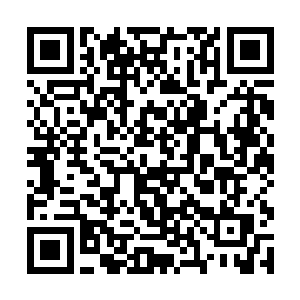 听得外面的凌菲简直恨不得把龙野的脑袋瓜子给撬开二维码生成