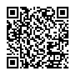 听着剑涡风暴狂暴的轰鸣呼啸和自己毫不逊色的惨叫二维码生成