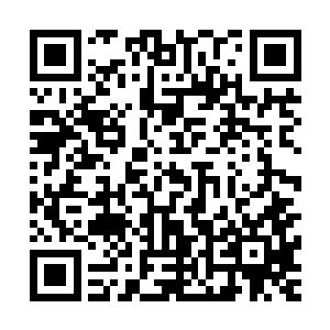 听着班里的同学都在议论苏雨柔谈恋爱而对象是个乡巴佬的事二维码生成