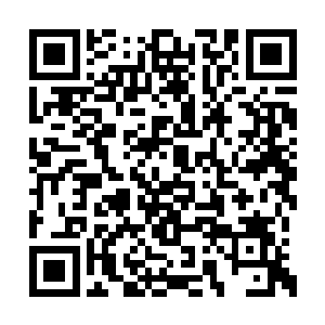 听着老头这么说着贝海己经联系上了水中的土狗二维码生成