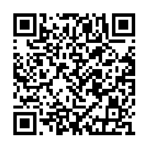 听着那些逃过一劫的将士说着杨炳与张辽的作战二维码生成