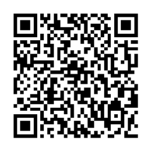 听着郎坚白絮絮叨叨的在那里说关于书画的基本知识二维码生成