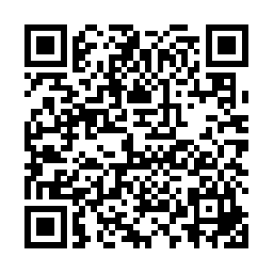 听知天机的阁老说阴阳绝谷的位置在大荒中会发生变化二维码生成