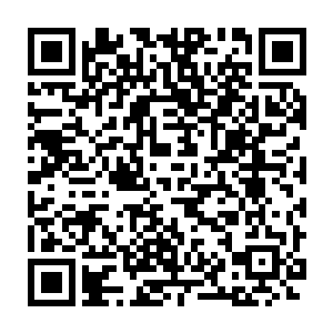 听证会将由钻石联盟IAI的四位高层和元老院的8大元老们共同组成二维码生成