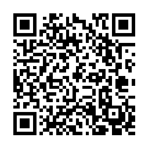听说三舅妈是帮她的师妹挡蛊毒还是什么奇毒来者的二维码生成