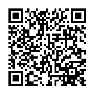 听说临河市前任老大陈晓刀最终就是栽在这个女人手中啊二维码生成