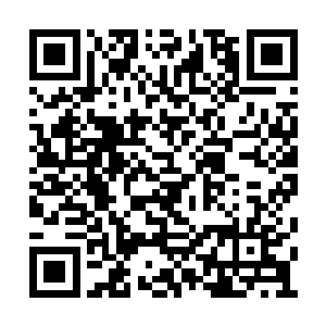 听说也只有大魔王座下的四大长老全部闯过去了二维码生成
