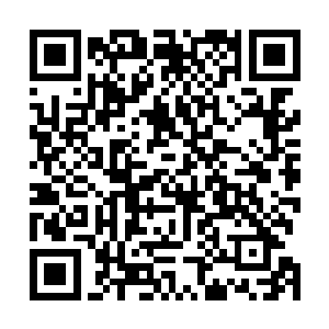 听说云傲天把风北尘那关了几万年的宝贝孙子给放了出来二维码生成