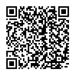 听说他们在宗师境界修为时期便是依靠着这件披风抵挡住了三名入圣修为的仇敌二维码生成