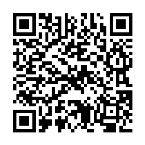 听说他们门中有一名大乘期老祖不慎被种下了这一咒印二维码生成