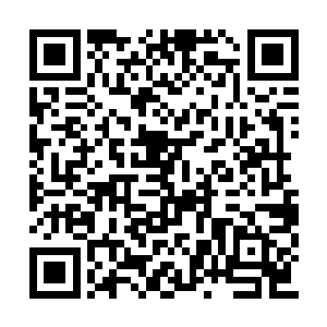 听说你们工殿很缺杀伤妖王与大妖王层次的身材二维码生成