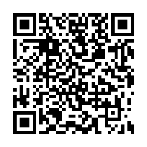 听说你们湿婆宗有一些极为特殊的秘法……如果二维码生成