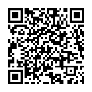 听说园林中有保留了当年北燕第一名门沐家的秘密二维码生成