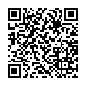 听说在他们消失的同一时间有大批人狼在那里出没二维码生成