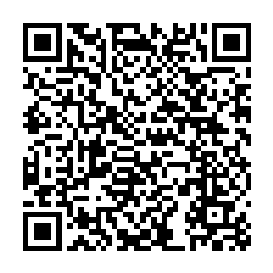 听说外域就是这样于……不过区别是他们下土是自己许多万年积累二维码生成