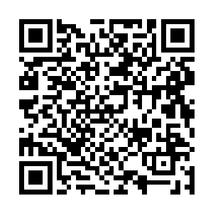 听说如今的中国虎张毅都已经气得在总统府咆哮好几天二维码生成