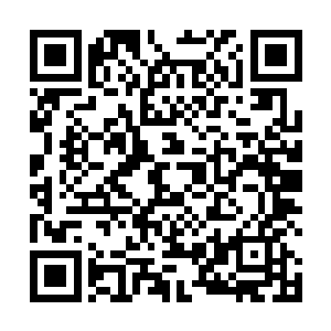 听说如果能把这块九龙玄关的永生之石的效果激发出来二维码生成