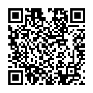 听说宗主前几日在洞天之中还让一个骑士加入了铁龙宗二维码生成