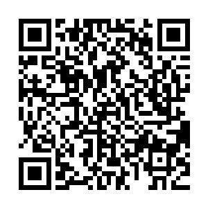 听说宗正寺大宗正濮王甚至搬出祖制要皇帝去祈年殿向祖宗认错二维码生成