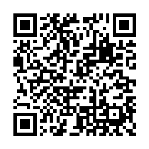 听说府令和统领大人保举你为东路指挥使和通判二维码生成